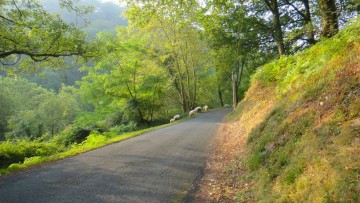 Se balader à Bidart en vélo