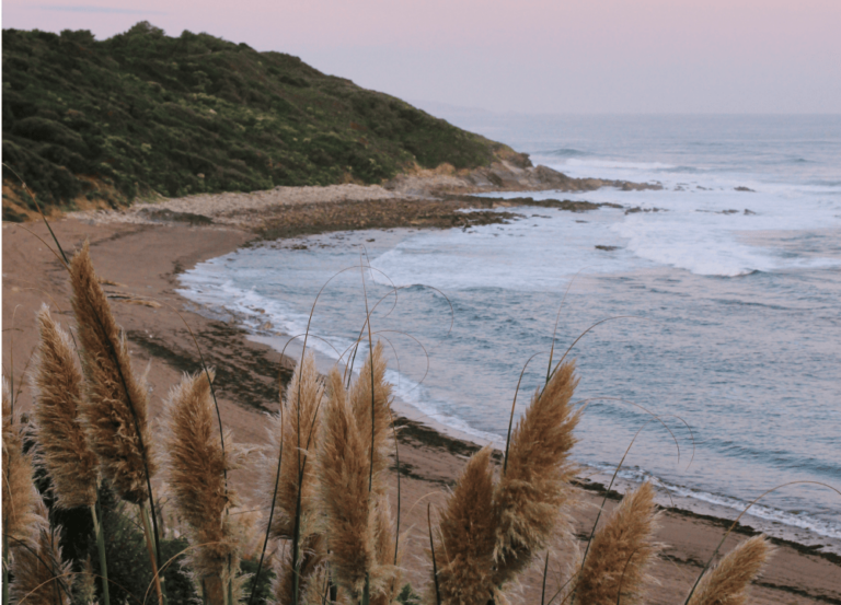 pays basque plage guethary