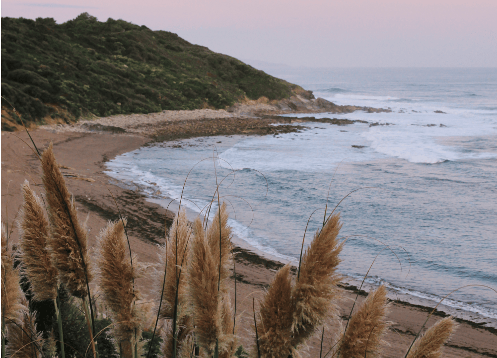 pays basque plage guethary